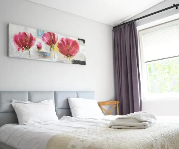 Koala * 德拉肯恩凯