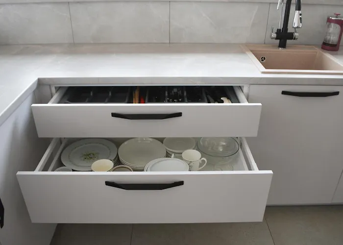 Koala * Druskininkai